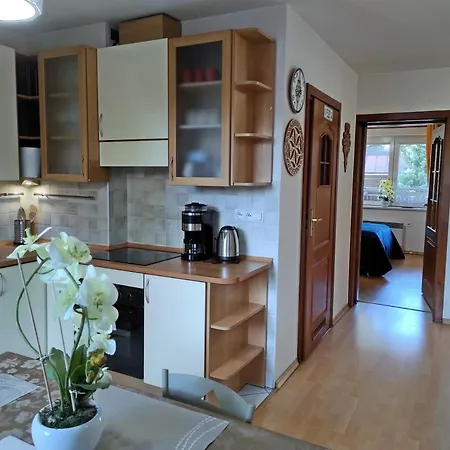 Apartamentylove - Oliwia Закопане